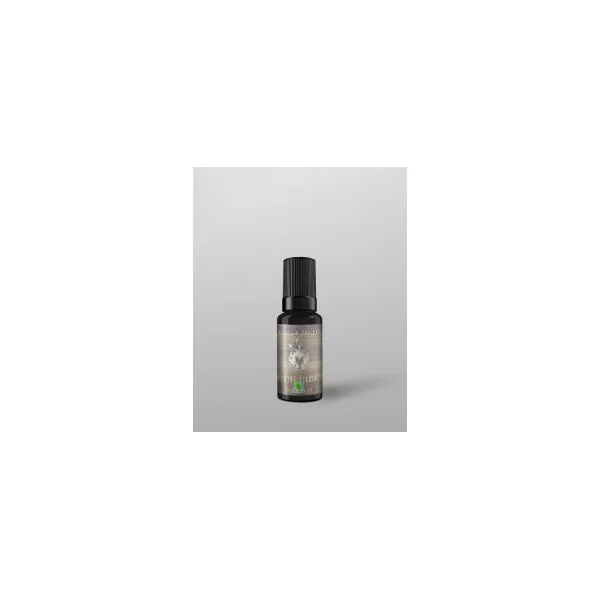 Concentré Menthe Glaciale Mille et une Vape 10ml